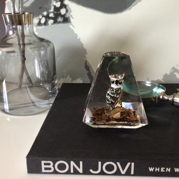 Lucite Pyramid Paperweight Hand Carved Painted Great Horned Owl MCM Mid-century - Picture 2 of 10